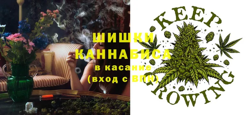 Марихуана THC 21%  Ставрополь 